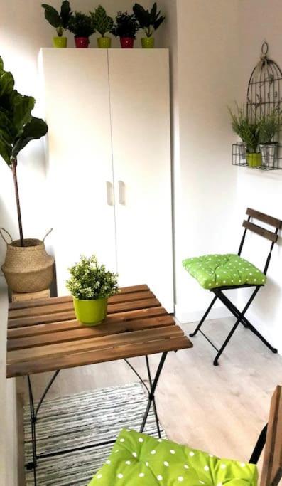 Centro. Office, Gastro, Ocio & Alicante